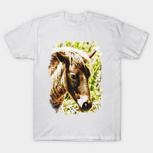 Assateague Pony Wyld Wynds Colt Watercolor T-Shirt
